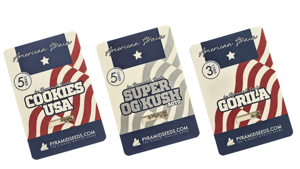 American Strains Pyramid Seeds